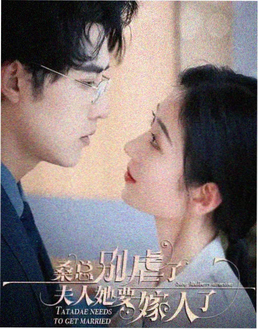 与凤行 77影院在线观看免费观看电视剧百度
